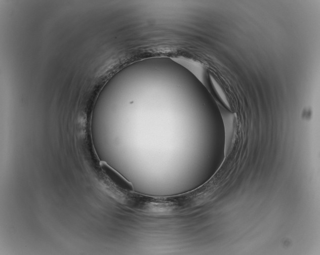 X0000097610556200803141941