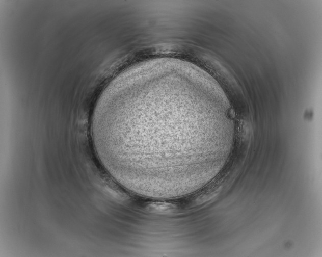 X0000097610557200803141941