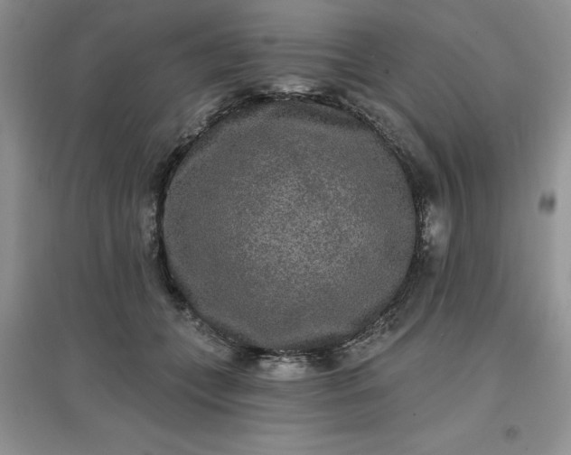 X0000097610559200803141941