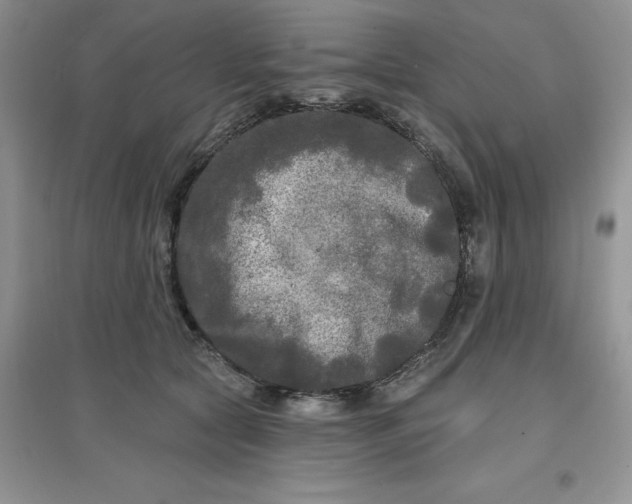 X0000097610561200803141941