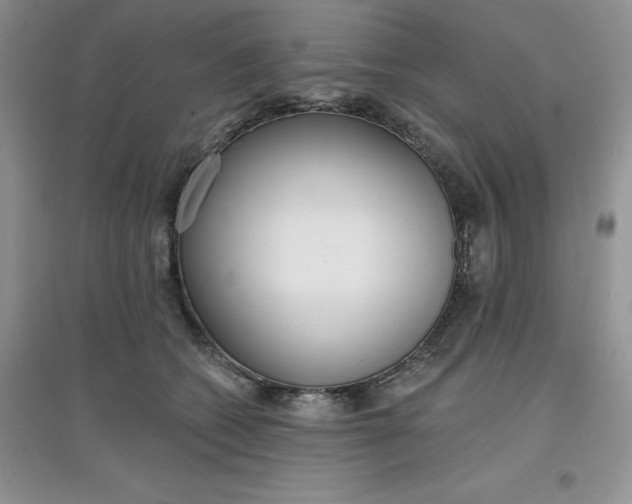 X0000097610562200803141941