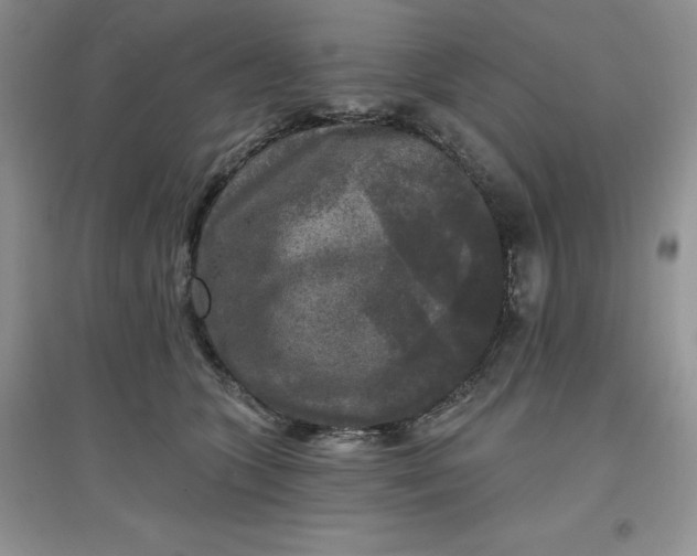 X0000097610563200803141941