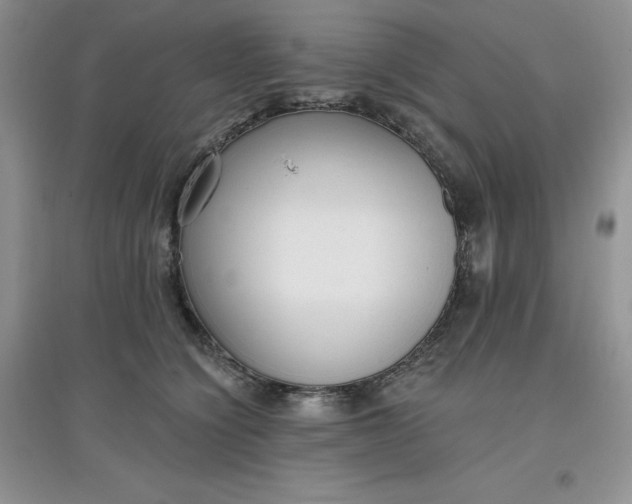 X0000097610564200803141941