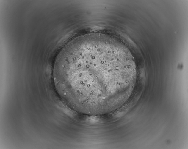 X0000097610565200803141941