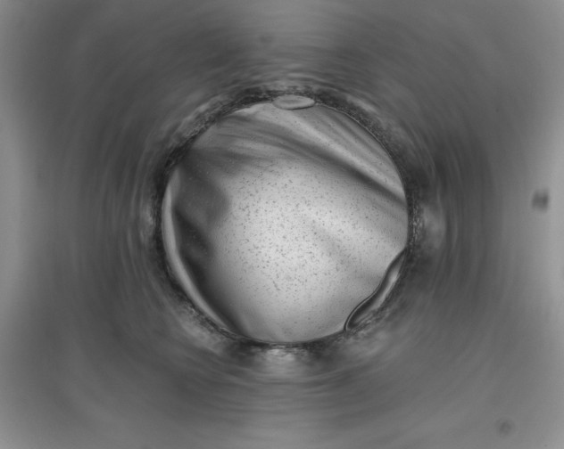 X0000097610566200803141941