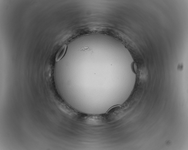 X0000097610567200803141941