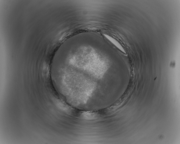 X0000097610568200803141942