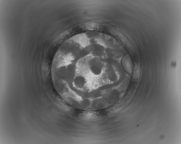 X0000097610569200803141942