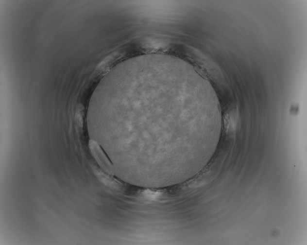 X0000097610570200803141942