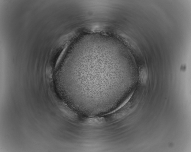 X0000097610571200803141942