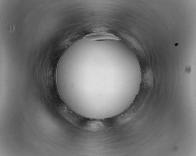 X0000097610572200803141942