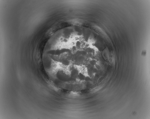 X0000097610573200803141942