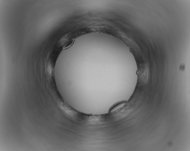 X0000097610574200803141942