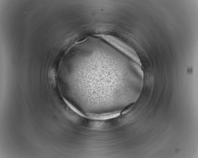 X0000097610575200803141942