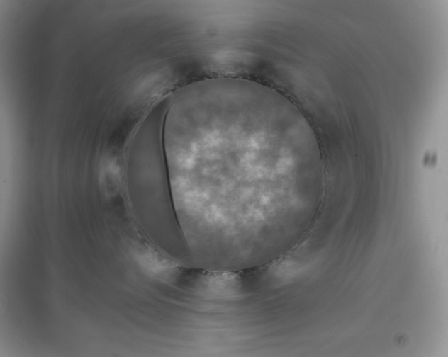 X0000097610576200803141942