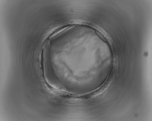 X0000097610577200803141941