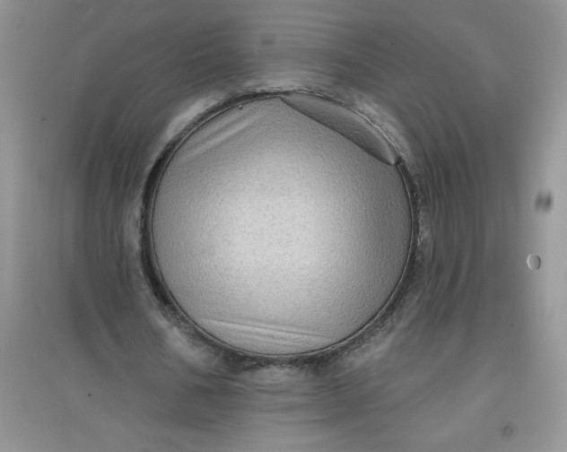 X0000097610578200803141941