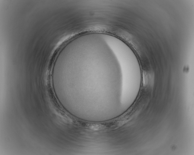 X0000097610579200803141941