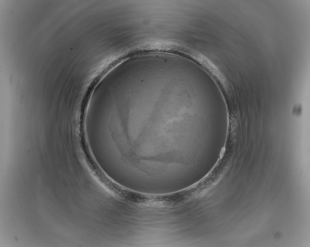 X0000097610581200803141941