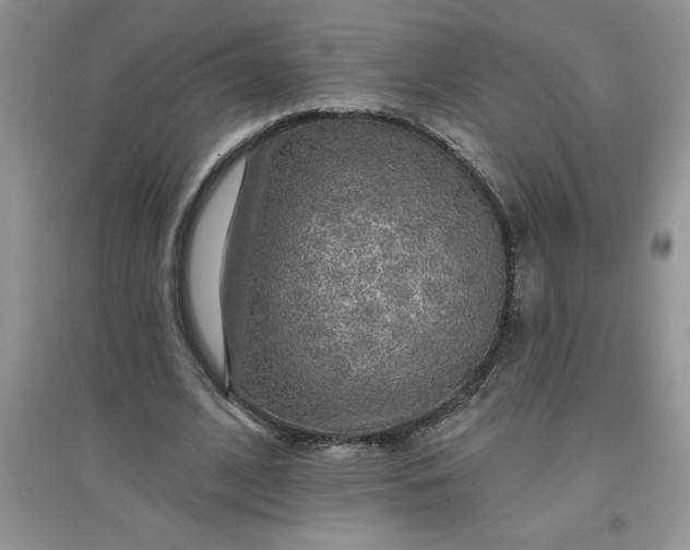 X0000097610584200803141941