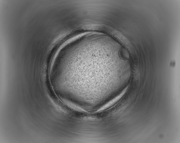 X0000097610586200803141941