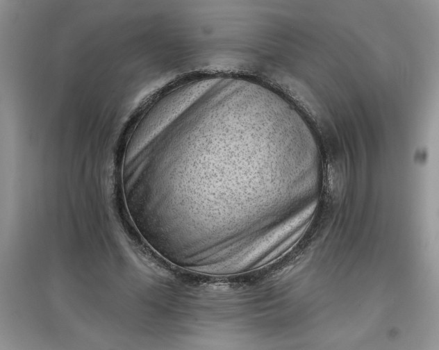 X0000097610588200803141941