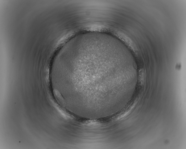 X0000097610589200803141941