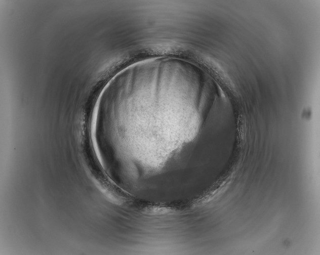 X0000097610590200803141941