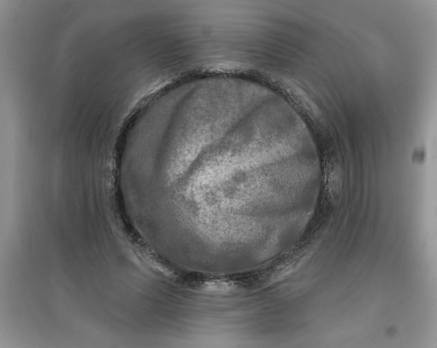 X0000097610591200803141941