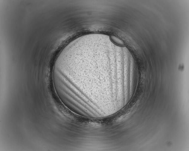 X0000097610592200803141941