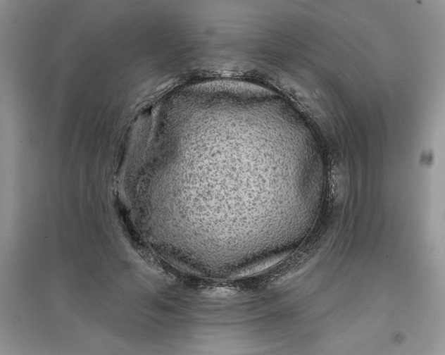 X0000097610594200803141941