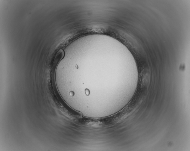 X0000097610595200803141941