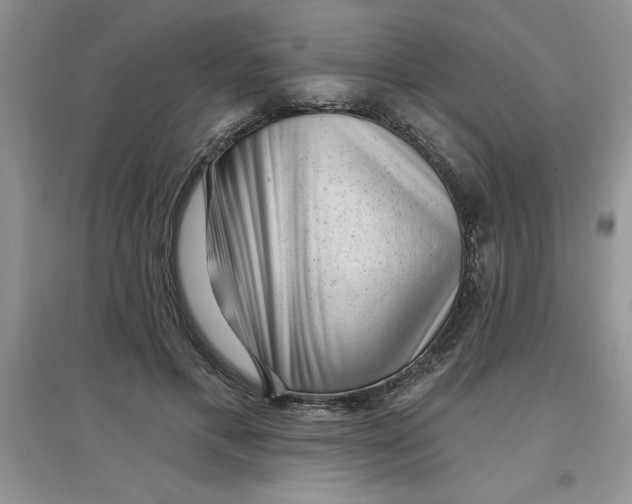 X0000097610597200803141941