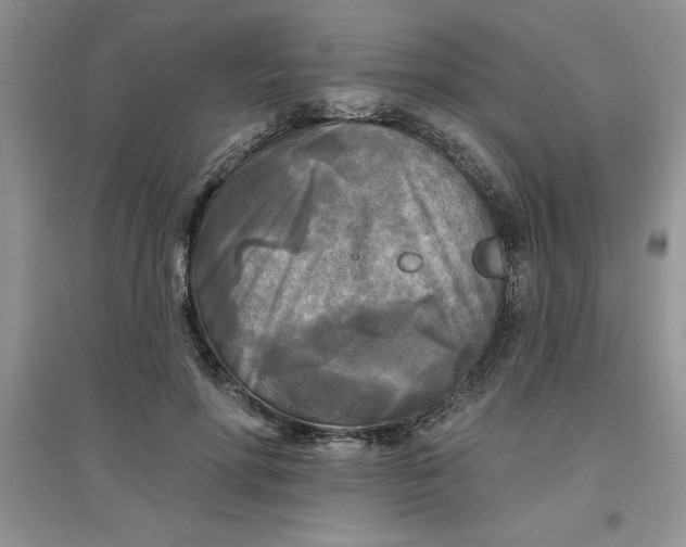 X0000097610598200803141941