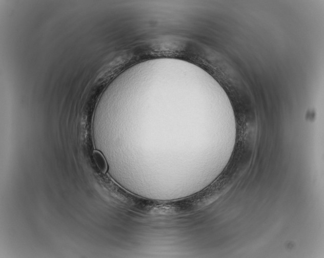 X0000097610599200803141941