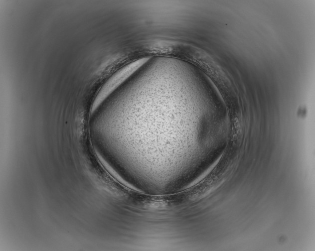 X0000097610600200803141941