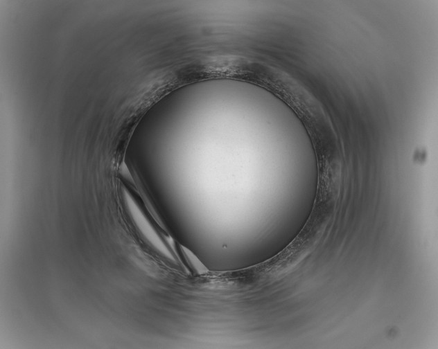 X0000097610601200803141941