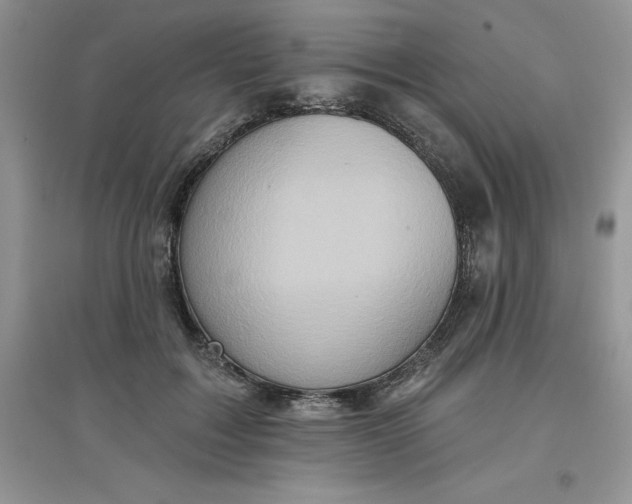 X0000097610603200803141941