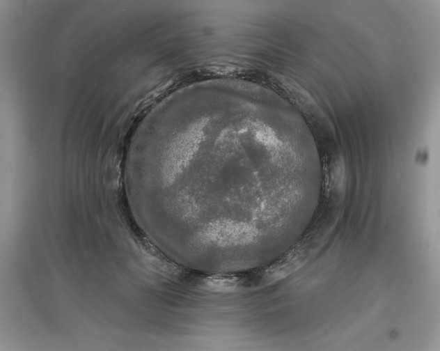 X0000097610606200803141941