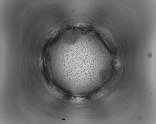 X0000097610607200803141941