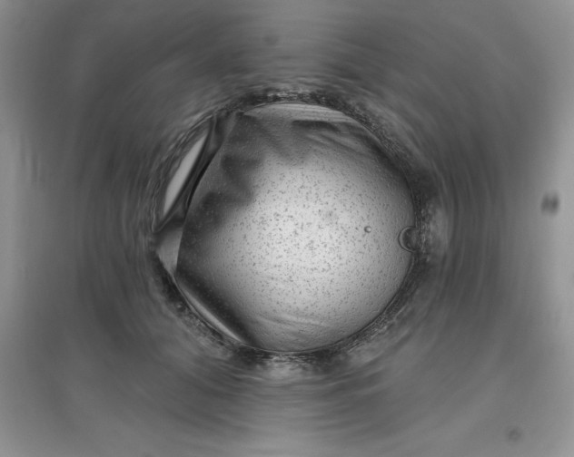 X0000097610608200803141941