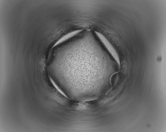 X0000097610612200803141940