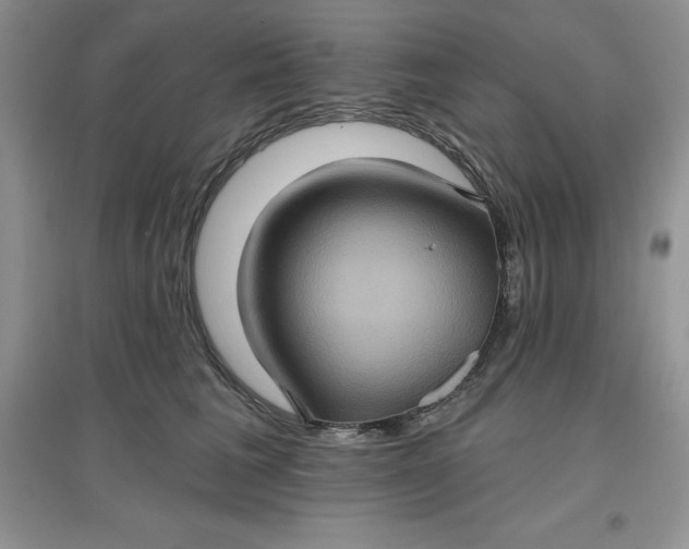 X0000097610613200803141940