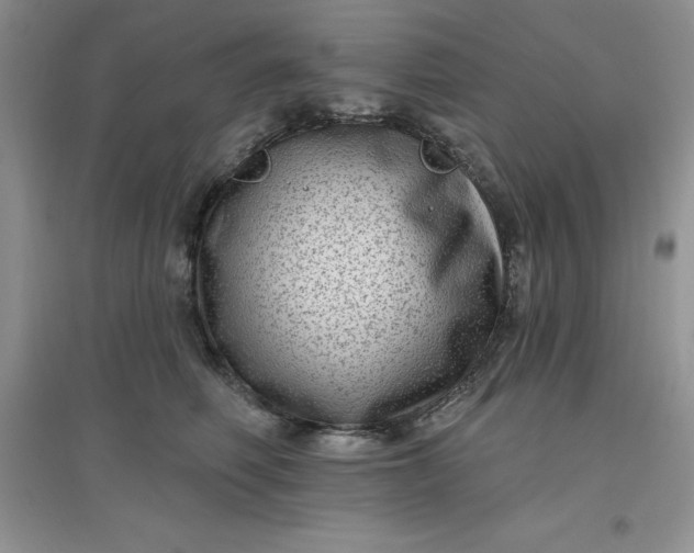 X0000097610614200803141940