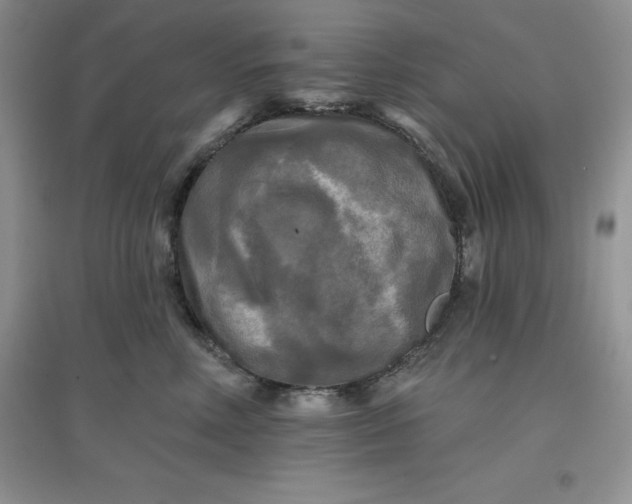 X0000097610618200803141940