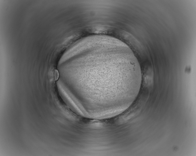 X0000097610620200803141940