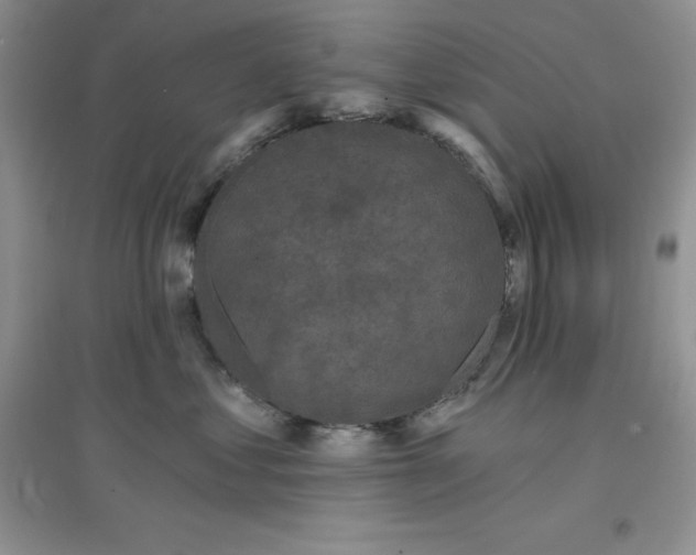 X0000097610621200803141940