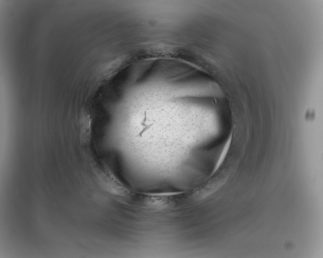 X0000097610624200803141940