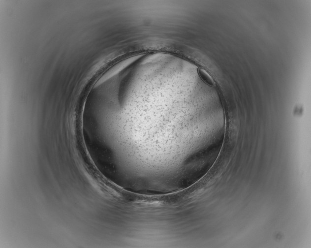 X0000097610626200803141940