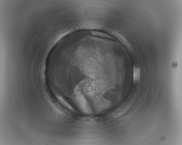 X0000097610627200803141940